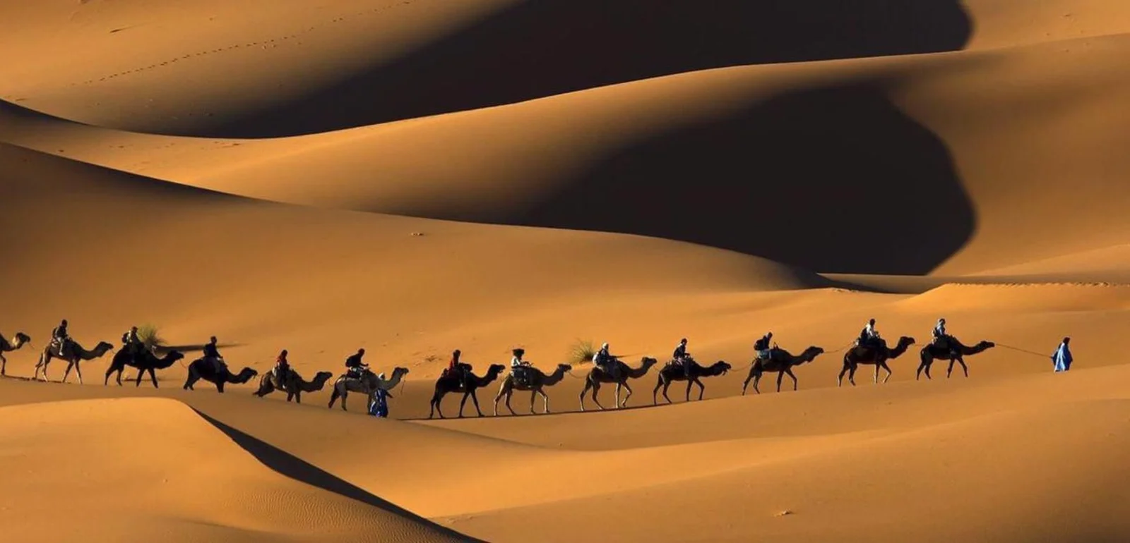 A camel caravan crossing the dunes at Erg Chebbi
